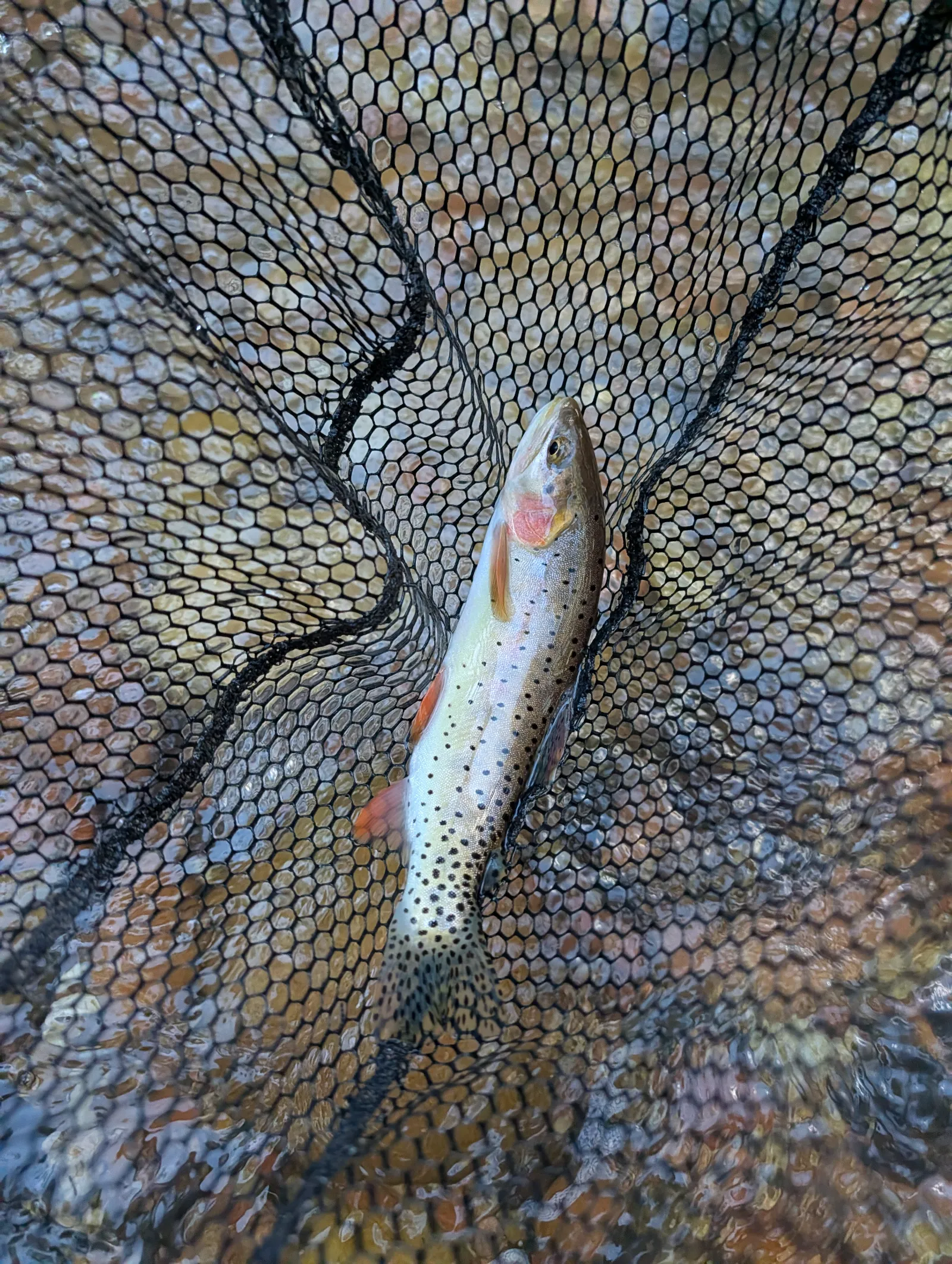 Center Creek Fishing with Amy and Matt