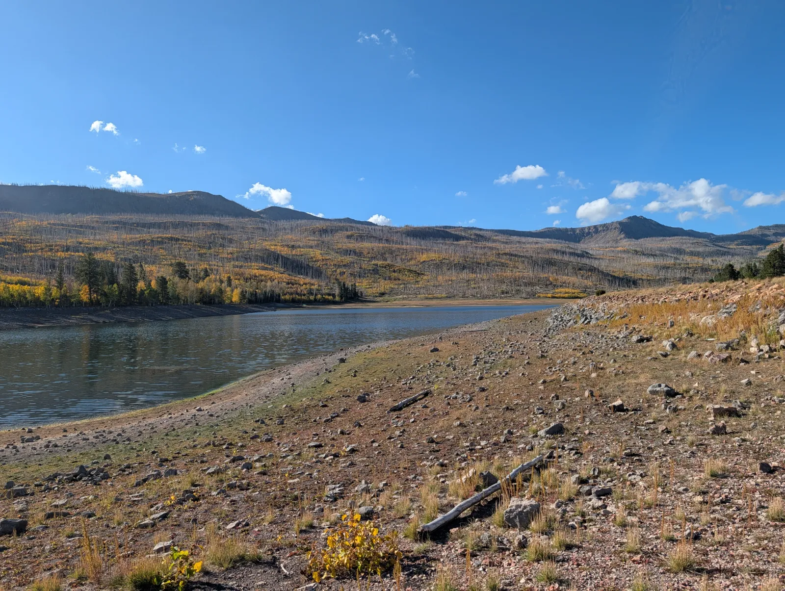 Yankee Meadow  