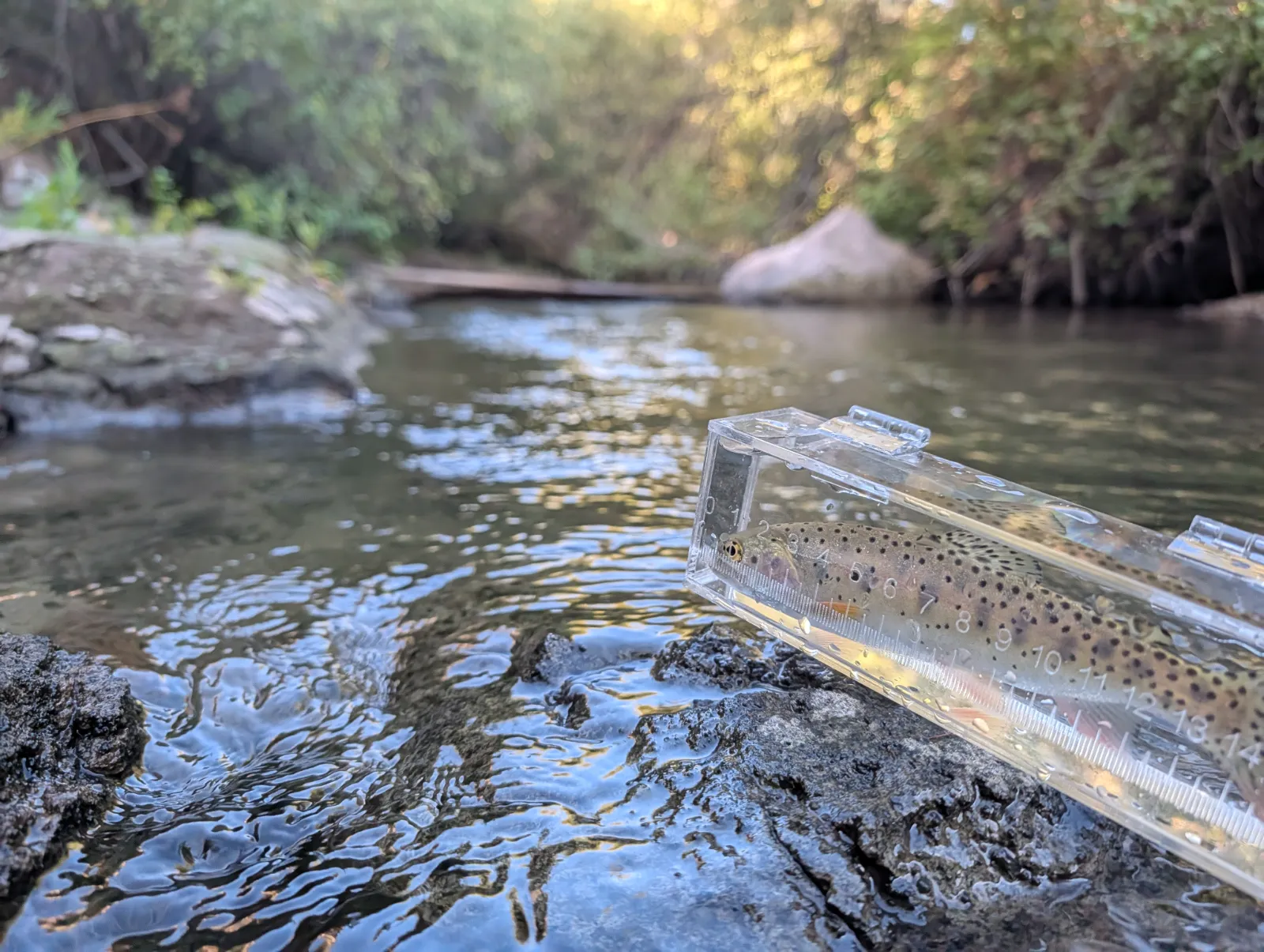 Clear Creek Fishing outside the state park